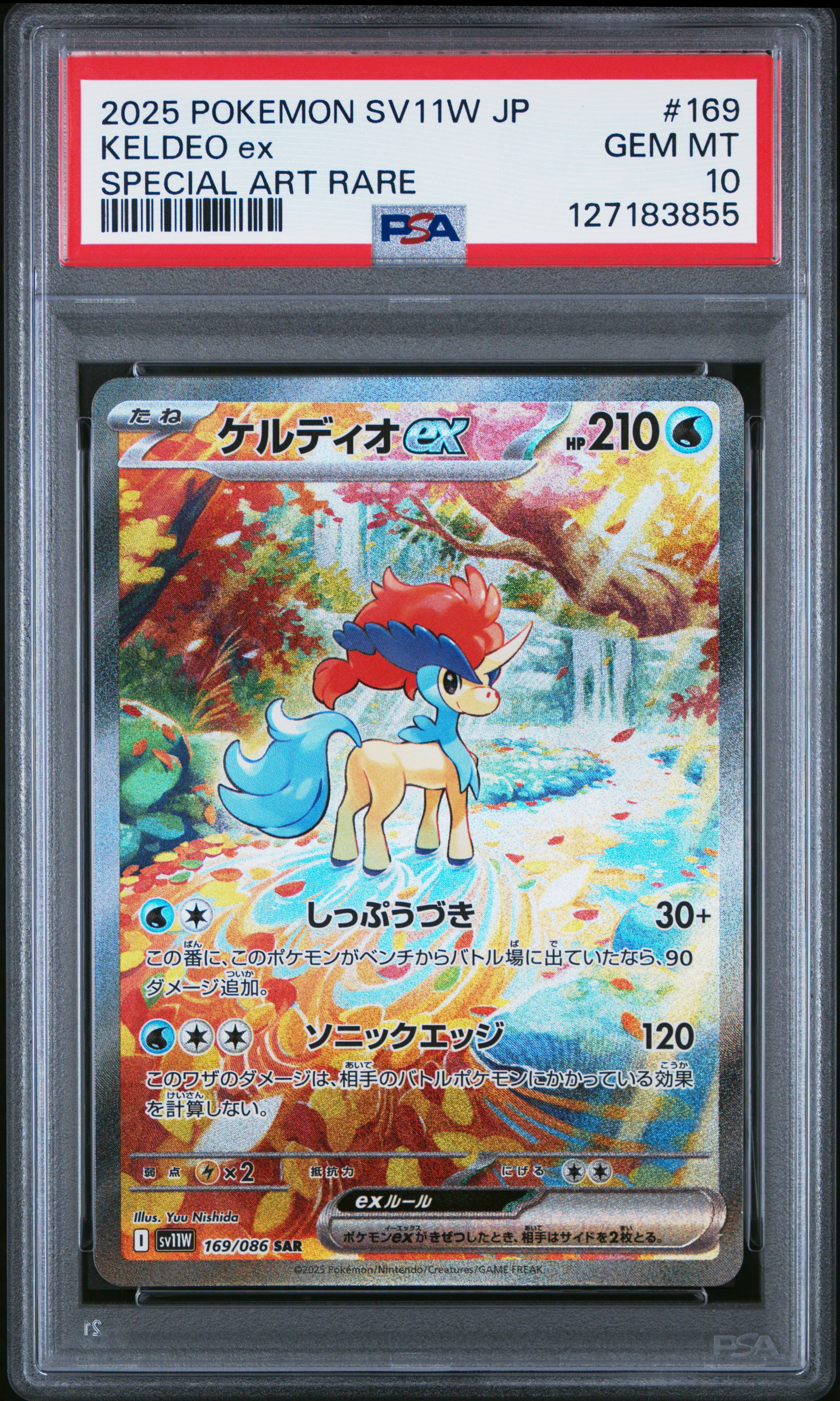 2025 KELDEO ex (#127183855)